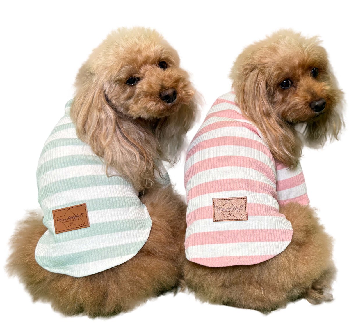 画像1: Border sleeved Pink(ボーダースリーブピンク) (1)