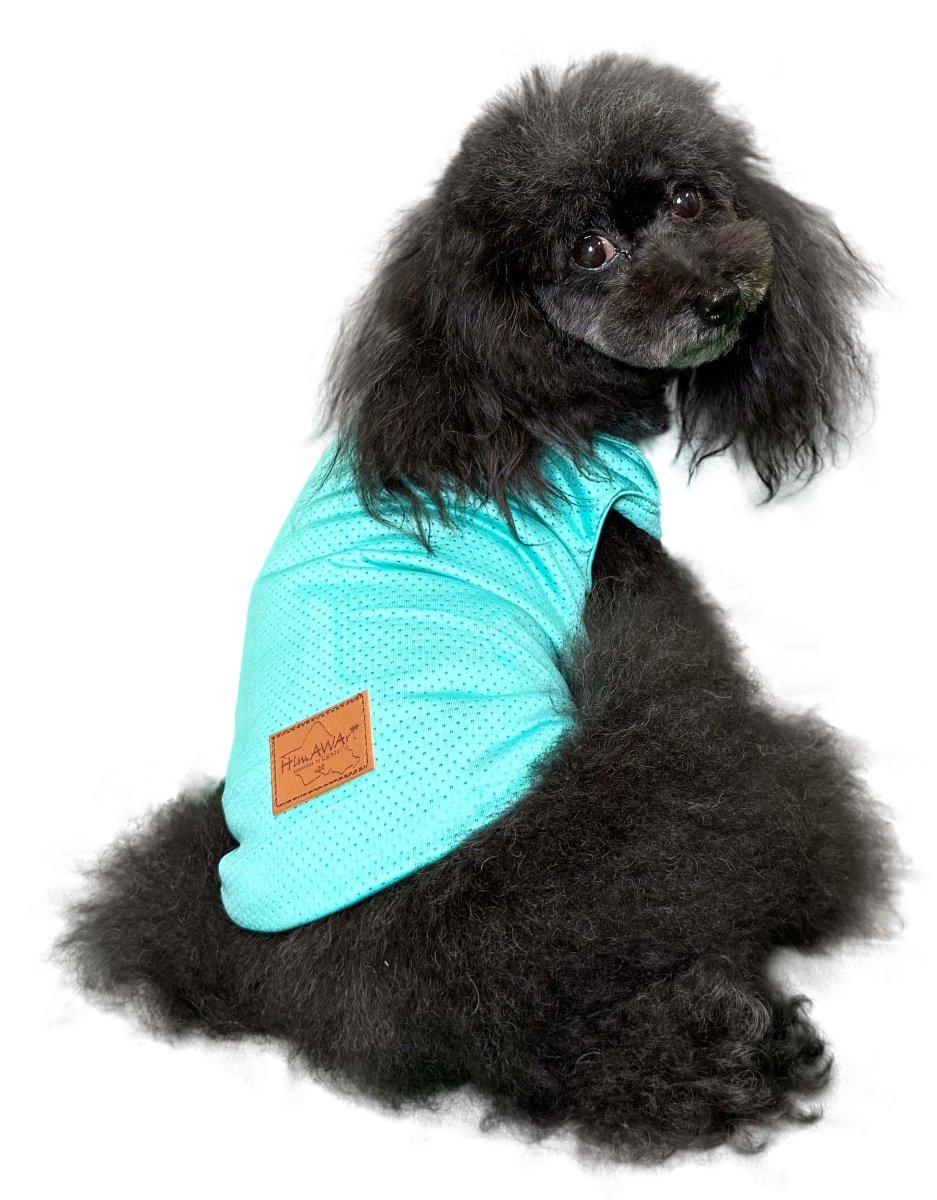 画像1: Mesh Tank blue（メッシュタンク・ブルー） (1)