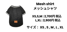画像3: Mesh shirt(メッシュシャツ) (3)